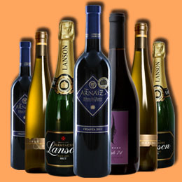 突破创新边界的Web漏洞扫描工具